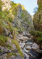 Fototapeta na wymiar Mountain fast river in the mountains of Italy.