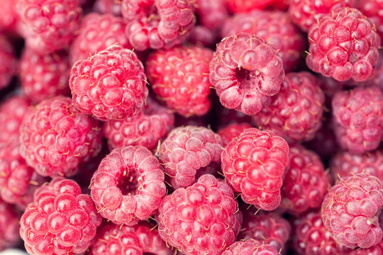 Natural raspberry background