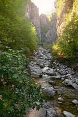 Naklejka premium Deep Gorge in the mountains of Italy.