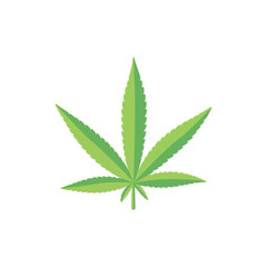 Flat style fresh green cannabis, marijuana leaf