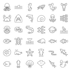 Aquatic Ocean life such as octopus, shell, pelican,herd of fish, outline icon set