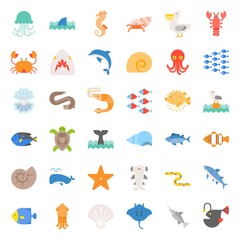 Aquatic Ocean life such as octopus, shell, pelican, herd of fish, tropical fish, flat icon set