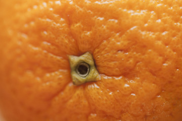 Makro soczystych pomarańczy - obrazy, fototapety, plakaty