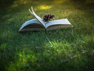 Open book in the sunlight on the green grass.
