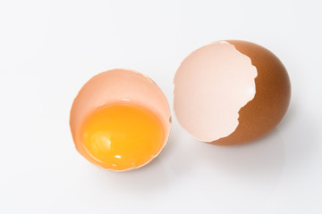 shell of broken egg and egg yolk, isolated space for text