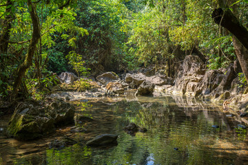 Naklejka na ściany i meble Brook bed on the way to the Nam Talu cave in the jungle of the national park Khao Sok in Thailand