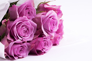 Mother's Day rose background