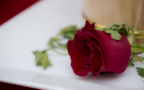 Rosa en un plato