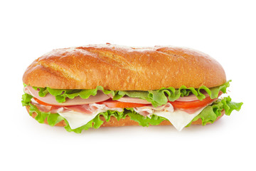 sandwich on white background