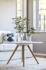 Coffee table in clean modern interior