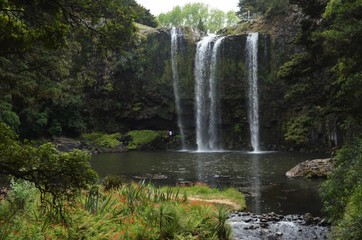 Fototapeta na wymiar beautiful waterfall surrounded by vibrant nature near Whangarei