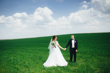 Beautiful wedding couple in the field