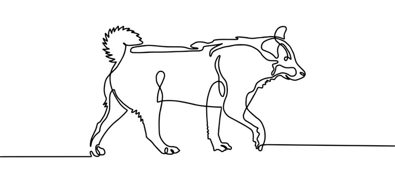 Continuous One Line Drawing Of Walking Dog In Minimalistic Style