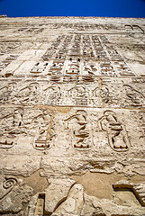 Ancient Egyptian hieroglyphics carved on temple walls