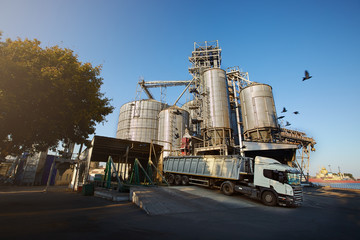 Unloading grain truck at elevator on elevating hydraulic platform unloader. Grain crops transshipment at big sea terminal at seaport. © artiemedvedev