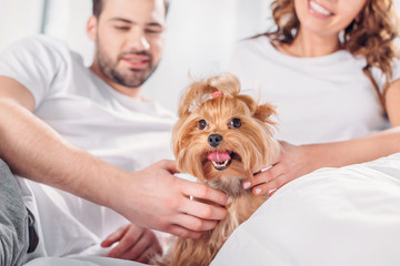 selective focus of couple in love with yorkshire terrier resting on bed together