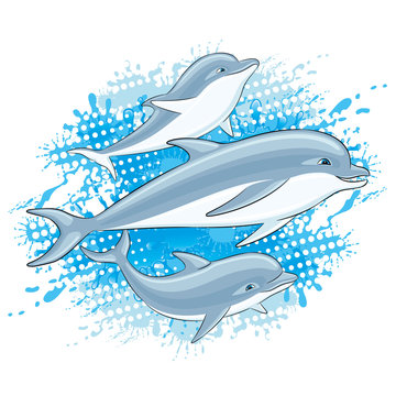 Dolphins and water splash on a white background.