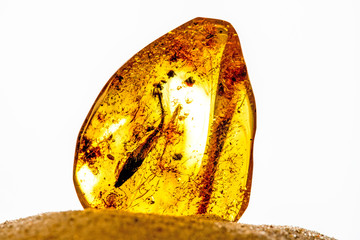 Amber in sun on a beach of the Baltic sea
