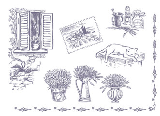Vector collection of graphic lavender flowers sketch. Vector set of hand drawn lavender illustration in lilac color. Vintage collection of lavender flowers sketch isolated on white. Provence, France.