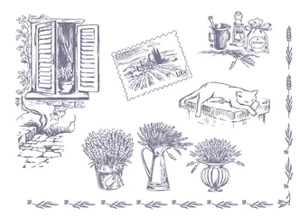 Deurstickers Vector collection of graphic lavender flowers sketch. Vector set of hand drawn lavender illustration in lilac color. Vintage collection of lavender flowers sketch isolated on white. Provence, France. © Octostockus