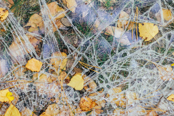 Broken glass lies on the ground with autumn leaves