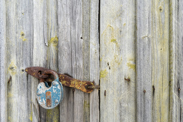 old wooden wall hook on the doors texture tree old door lock