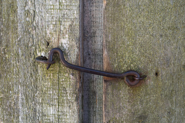 old wooden wall hook on the doors texture tree old door lock