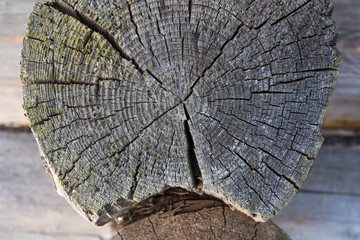 old woood texture wooden background wall wood wall