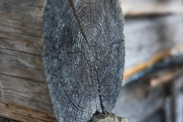 old woood texture wooden background wall wood wall