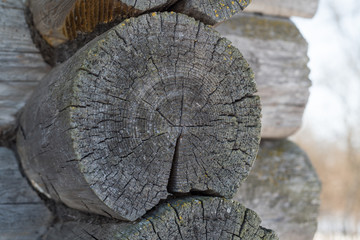 old woood texture wooden background wall wood wall