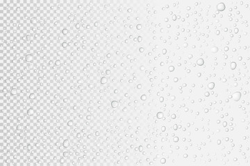 Vector Water drops on glass. Rain drops on transparent background - obrazy, fototapety, plakaty