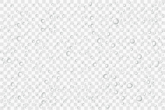 Vector Water drops on glass. Rain drops on transparent background