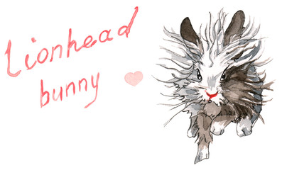 Fluffy grey, black, and white lion-head bunny with a red nose and serious facial expression is running, with hand-drawn red title above and a pink heart
