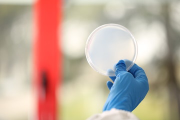 Petri dish