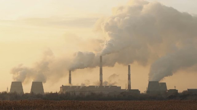 plant emits harmful smoke