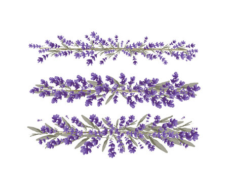 lavender strips decorative elements