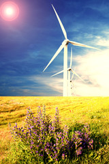 turbine eoliche 