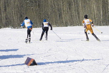 two cross-country ski men sprint uphill slope at ski marathon event of the year