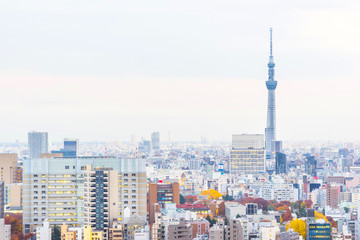 Asia business concept for real estate and corporate construction - panoramic modern city skyline aerial sunset view of bunkyo under fantasy pink sky and cloud, tokyo, Japan