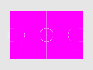 Obraz na płótnie Canvas Football field, womens football, pink, women's rights
