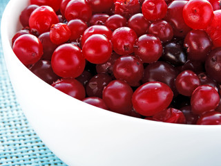 Berries of cranberries in a white bowl