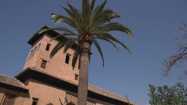 Torre de las Damas behind a palm tree