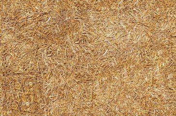 Seamless texture hay, straw - obrazy, fototapety, plakaty