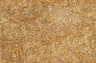 Foto op Plexiglas Seamless texture hay, straw © Maksim