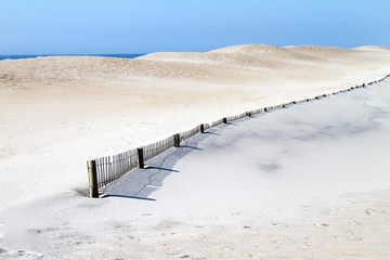 Sand dune on Assateague Island, MD