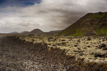 Naklejka premium Lava fields in Iceland 