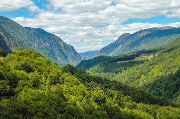 Fototapeta na wymiar Tara canyon, Montenegro