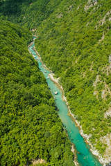 Tara canyon, Montenegro