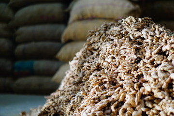 Dry ginger in warehouse