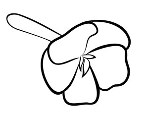 Vector illustration, impatiens flower in black and white colors